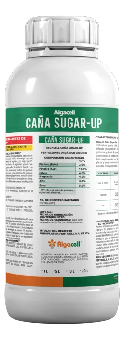 Algacell Caña Sugar-Up, Granos y caña