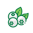 Adaptación del Arándano